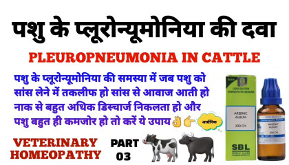 पशु के प्लूरोन्यूमोनिया की दवा  pleuropneumonia in cattle treatment part 03