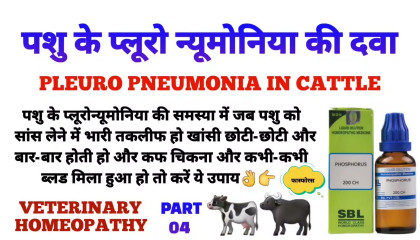 पशु के प्लूरोन्यूमोनिया की दवा  pleuropneumonia in cattle treatment part 04
