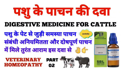 पशु के पाचन की दवा  digestion in cattle  digestive medicine for cattle part 02