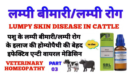 लंपी रोग  lumpy skin disease treatment  lumpy skin disease homeopathy part 03