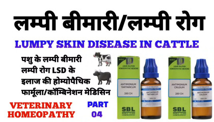 लंपी रोग  lumpy skin disease treatment  lumpy skin disease homeopathy part 04