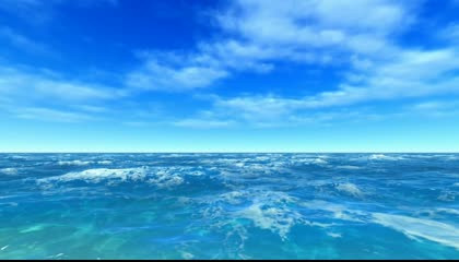 Beautiful Sea Nature video