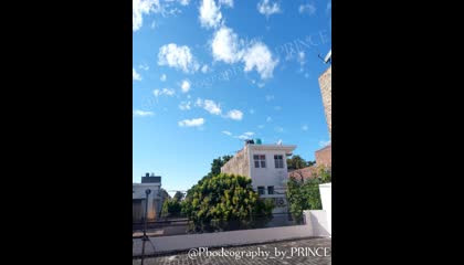 Today's nature in our area (2) -Phodeography 【by PRINCE】