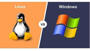 Linuxs vs windows / best os for you.