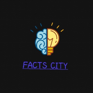 fact city