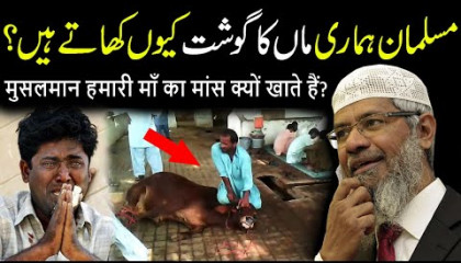 Why Muslims Eat Cow Meat? 😭  Dr Zakir Naik Reply To Hindu Urdu/Hindi Answers
