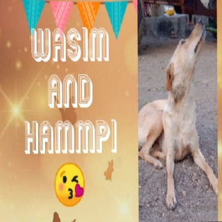 Wasim and Hammpi 😘