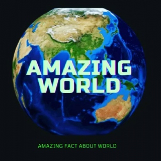Amazing World 1000