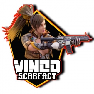 VINOD SCARFACT