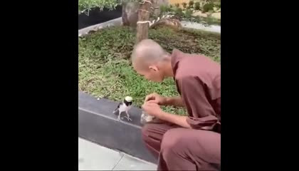 Man Helped Food in Bird
