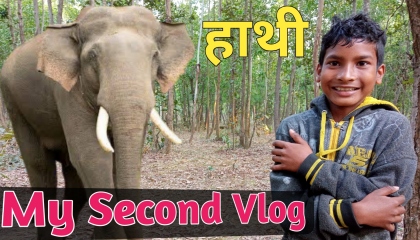 My Second Vlog 2022    Gaoon Ka Jungle Vlog Hati Ke Sath