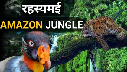 रहस्यमई Amazon jungle Amazon jungle facts letstalkabouttruefacts firstvideo