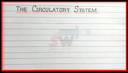 What circulatory system_Definition of circulatory system_explain circulatory