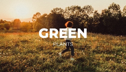 Green plants Entertaining video