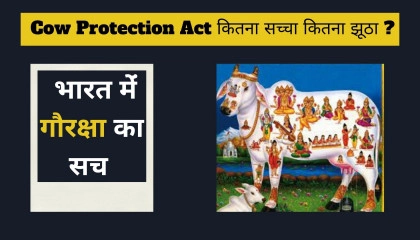 Cow Protection Act कितना सच्चा कितना झूठा  भारत में गौरक्षा