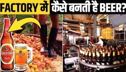 फैक्ट्री में कैसे बनती है बियर?  Beer manufacturing process in Hindi