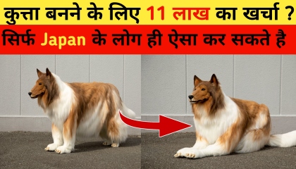 कुत्ता बनने के लिए 11 लाख का खर्चा😱  Japanese Man Turn Himself Into A Dog