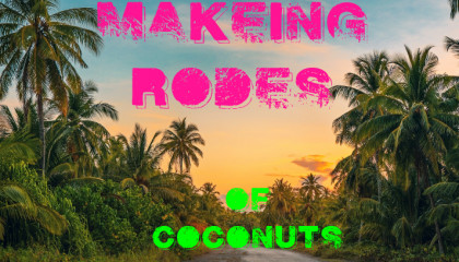 coir fiber natural fiber coconut joot rodes natural rodes types of rodes
