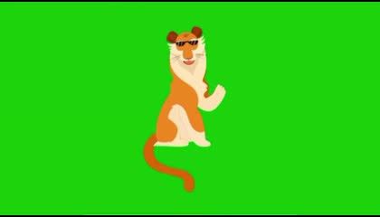 Lion hello green screen video