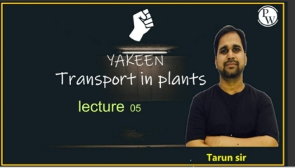 Transport In Plants Lecture 05   