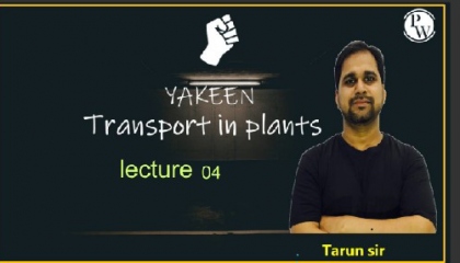 Transport In Plants Lecture 04   