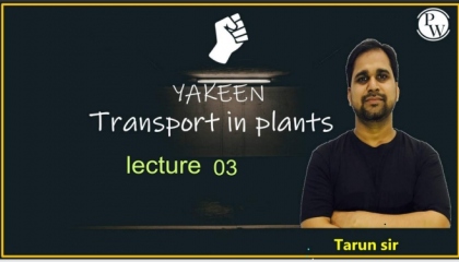 Transport In Plants Lecture 03   