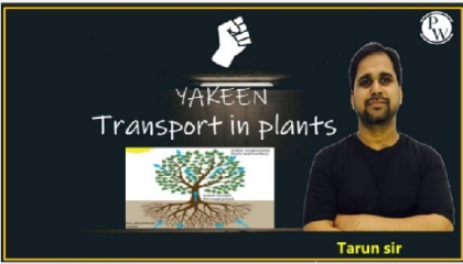 Transport In Plants Lecture 01
