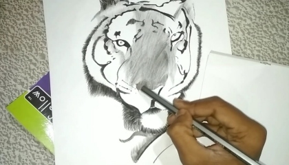 Lion face pencil sketch  lion drawing  Vishal Bhardwaj Arts