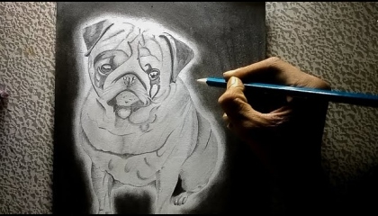 Pug dog pencil sketch. dog drawing. dog pencil sketch. Vishal Bhardwaj Arts.
