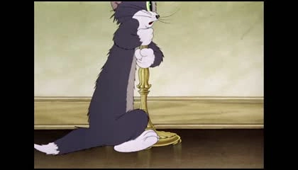 tom and jerry funny vido