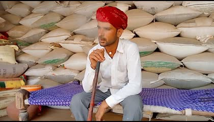Rajasthani funny video