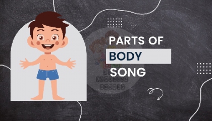 PARTS OF BODY SONG
