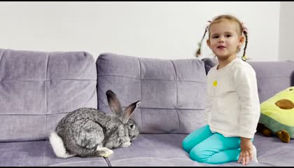 Funny Baby Girl Reaction to a Rabbit [Zlata sees him for the First Time]
