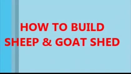 How to construct best economy sheep and goat shed