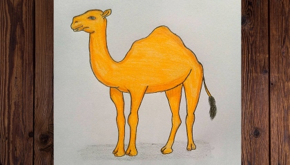 how to draw camel easy step by step / camel drawing video / simple drawing idea