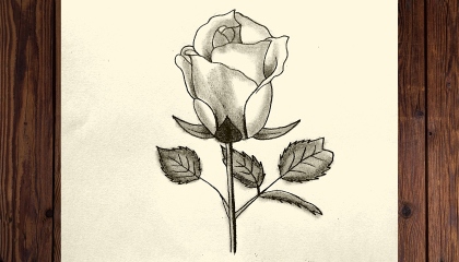 how to draw a rose flower easy / easy flower drawing step by step / rose flower