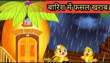 बारिश ने की चिड़िया की फसल ख़राब। Hindi story / best birds story