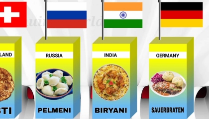 National Food From Different Countries  Genuine Data World Record