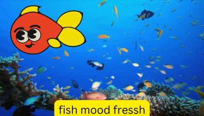 fish mood smoothness