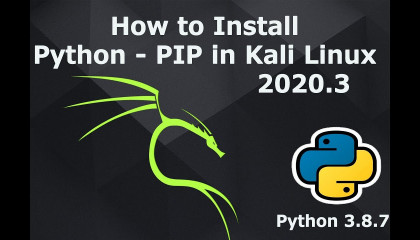 How to Install Python and PIP in Kali Linux 2020.3  Python 3.8.7