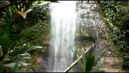 The World's Most Beautiful Animated Background Waterfall HD.