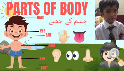Parts of the Body in English  Human Body Parts Names l Jism Kay Hisson Kay Naam