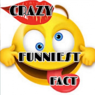 Crazy Funniest Fact