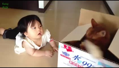 funny baby and cat video