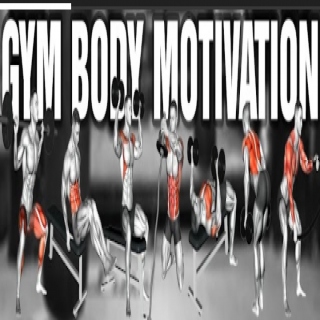 GYM BODY MOTIVATION