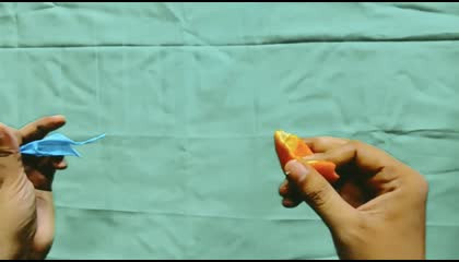 Balloon vs orange experiment  Kya orange se ballon fat jayega
