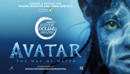 AVATAR 2: The Way of Water (2022) Movie Explained in Hindi/Urdu