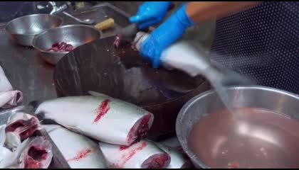 Chinese Fishing Cutting Cooking 3 / RJP Meat Fish
