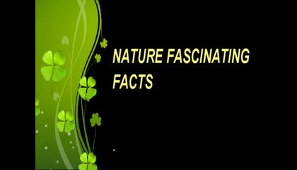 FASCINATING FACTS ABOUT NATURE