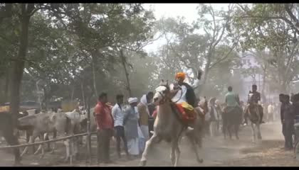 sonpur mela ghoda race 2023  सोनपुर मेला में घोड़ा रेस  horse race sonpur
